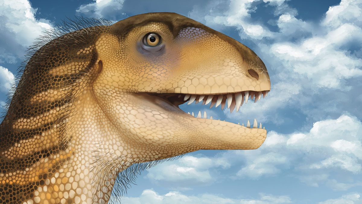 Look we admit we were hoping for something more muppet-like from this artist's reconstruction of Ptychotherates bucculentus, but if you imagine a hand inside there it sort of works